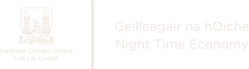 Cork City Council Night Time Economy