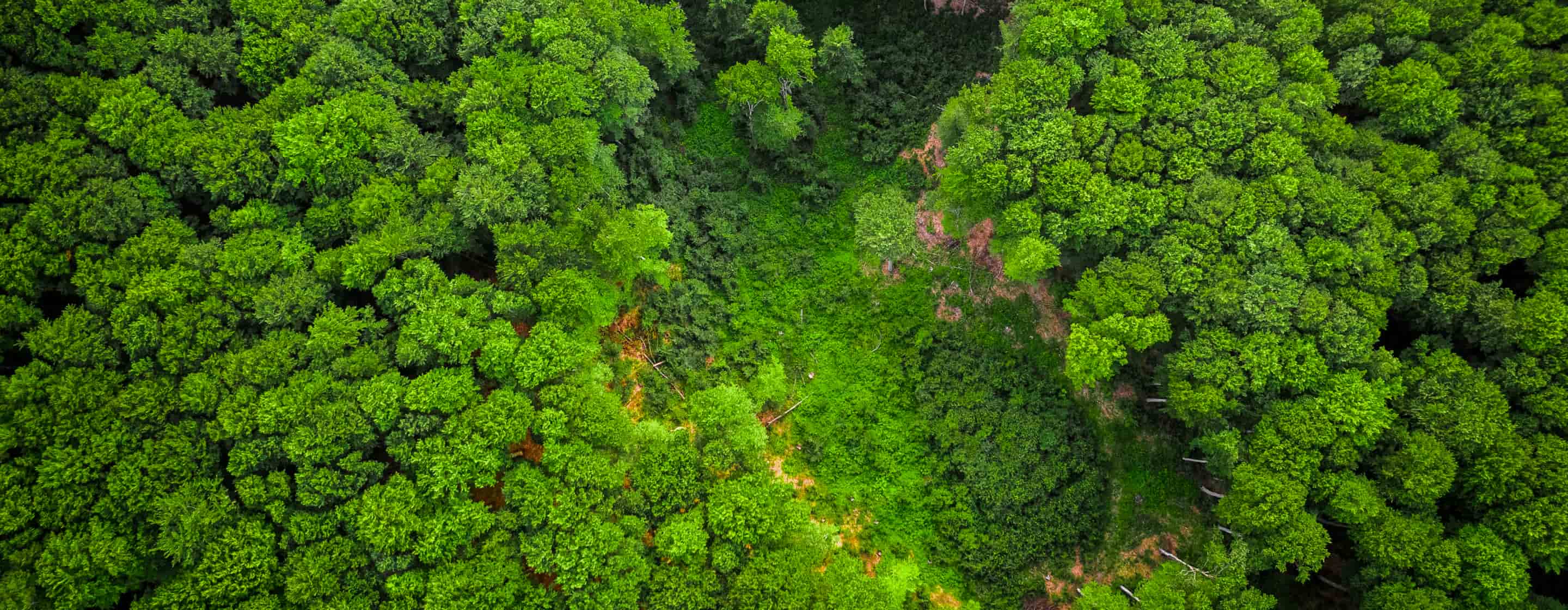 Coming Soon - Donate X Webflow Template