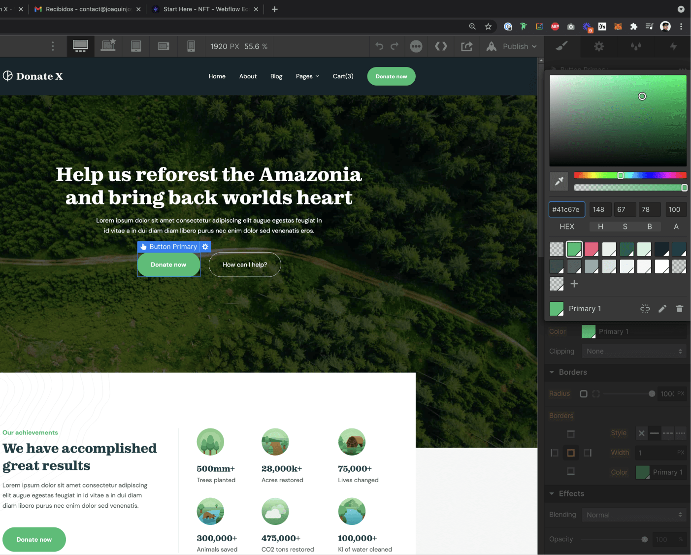 Colors - Donate X Webflow Template