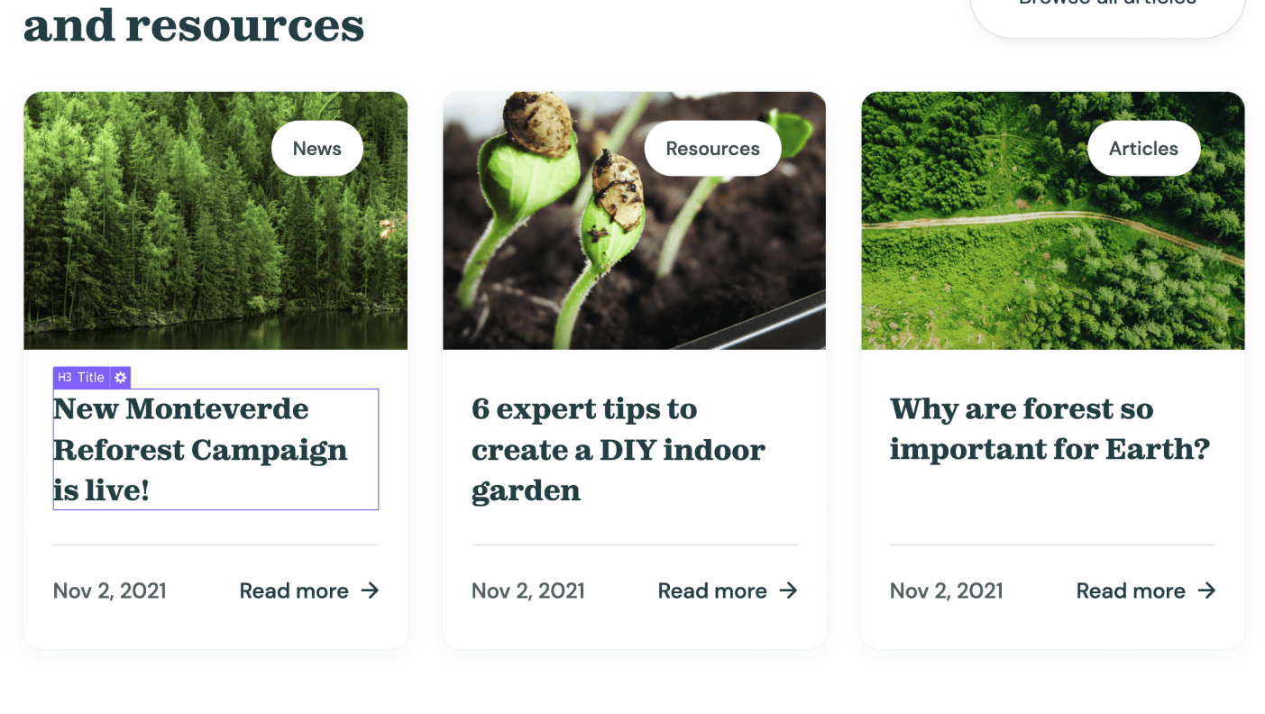 Dynamic Content CMS - Donate X Webflow Template