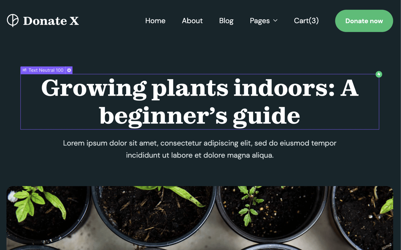 CMS Page - Donate X Webflow Template