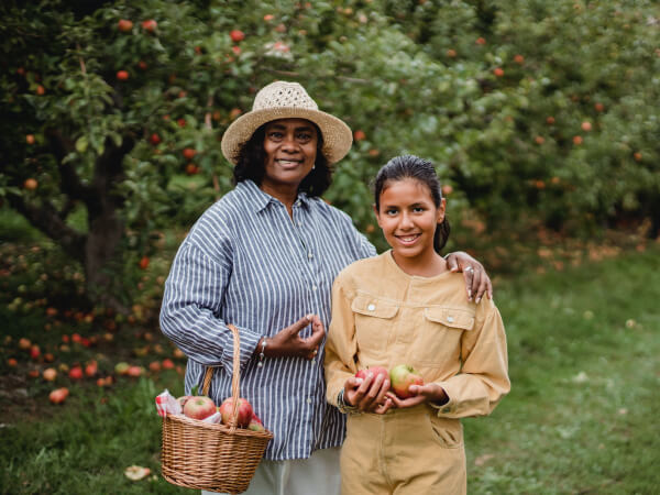 License - Donate X Webflow Template