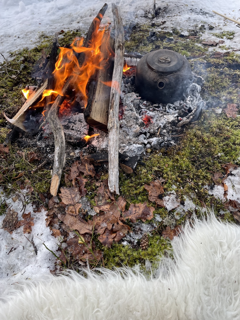 Lägereld med brinnande ved och en svart vattenkokare på glödande kol i en skog med snö och mossa, samt ett vitt fårskinn i förgrunden.