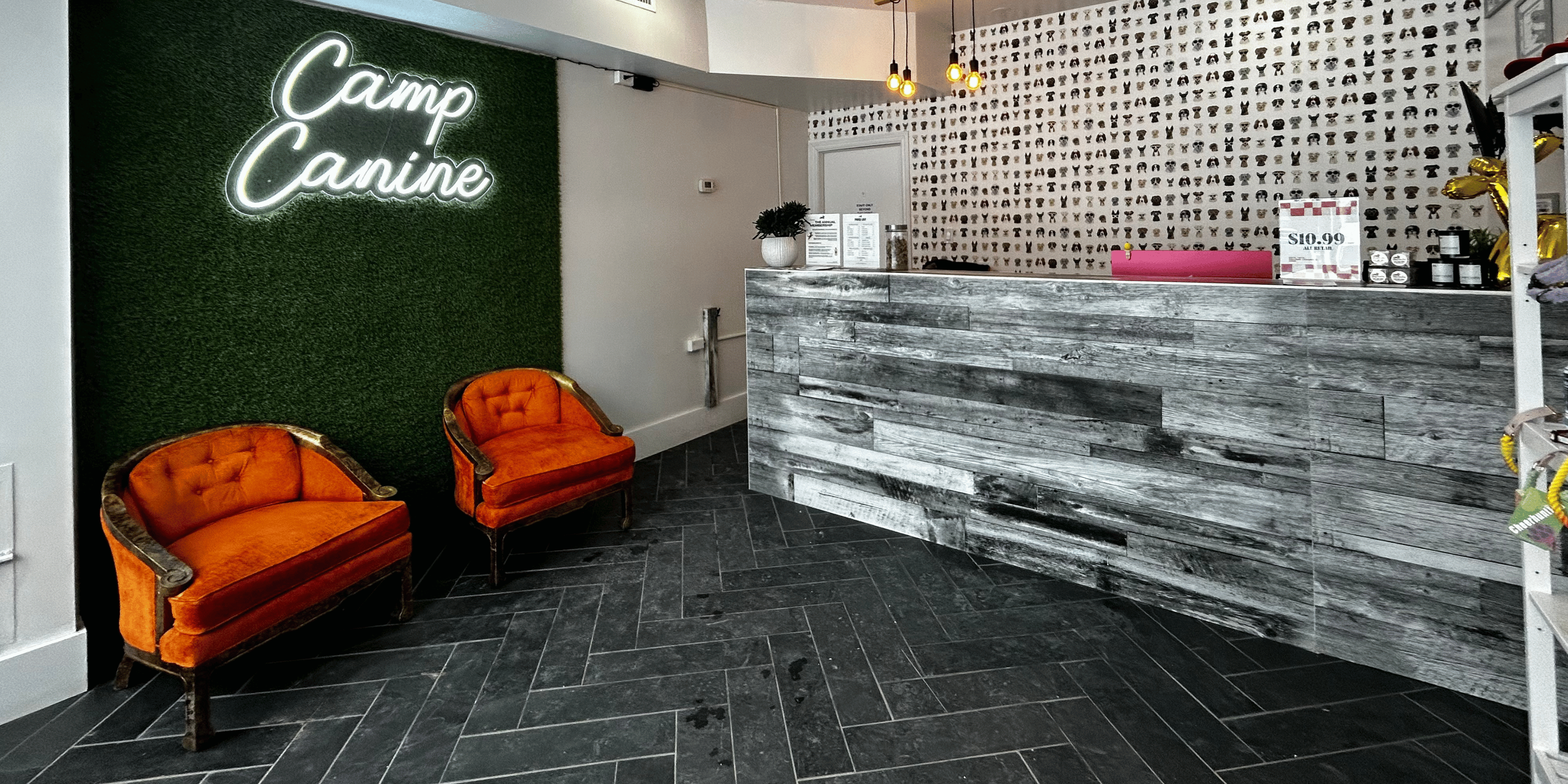 The Camp Canine Avenue lobby, with two cozy chairs, and grass wall and neon Camp Canine sign, and colourful dog wallpaper.