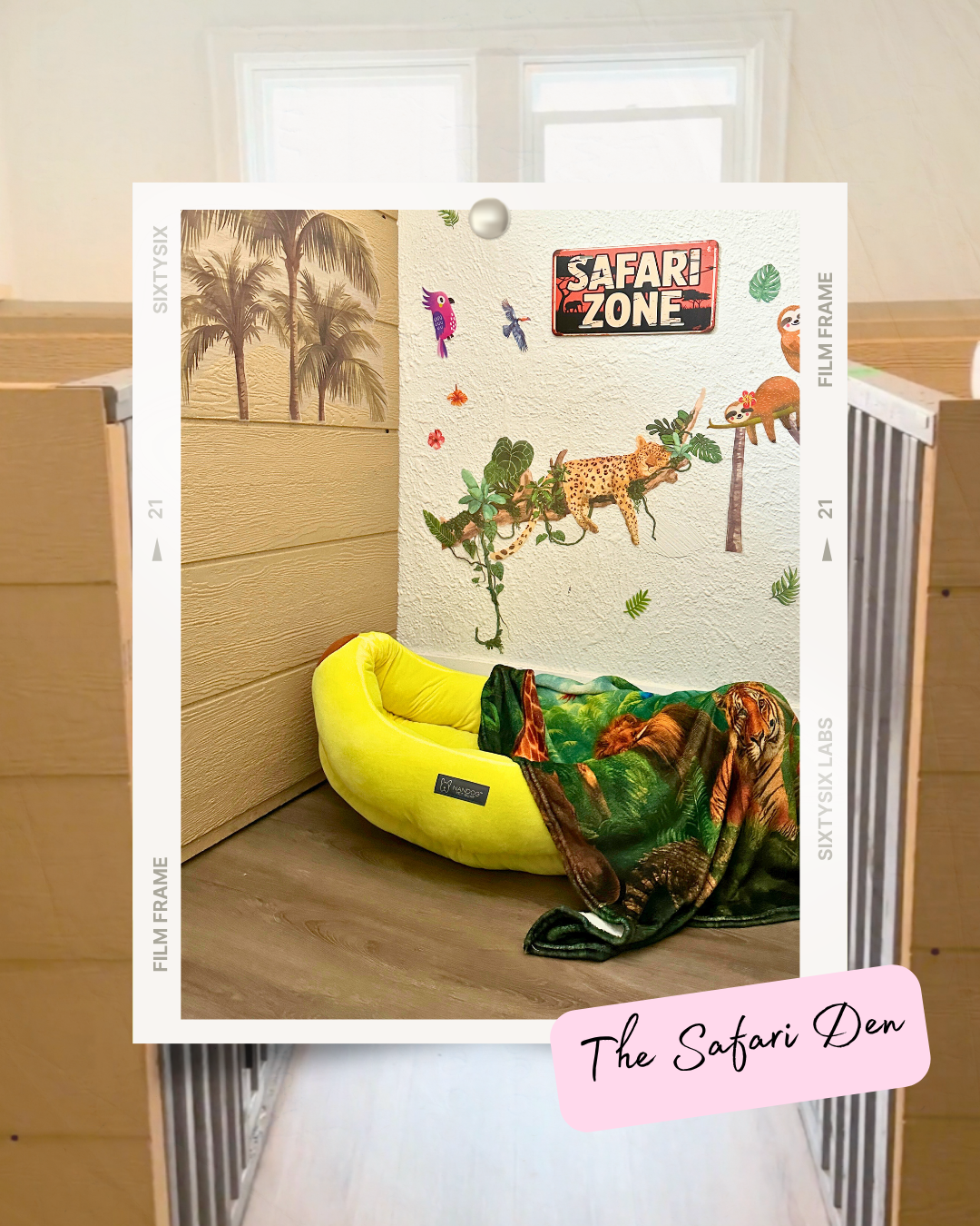 Corner of a room decorated with safari-themed wall stickers, a yellow pet bed, and a jungle animal print blanket.