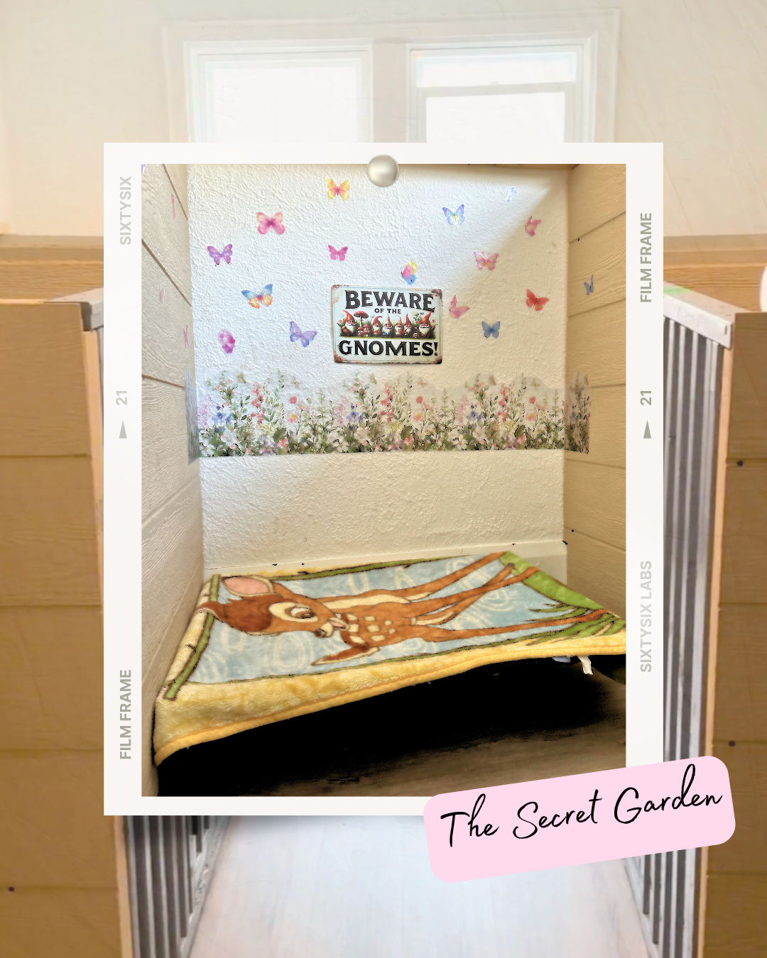 Cozy pet bed area with Bambi blanket, butterfly wall decals, floral border, and Beware of the Gnomes sign.