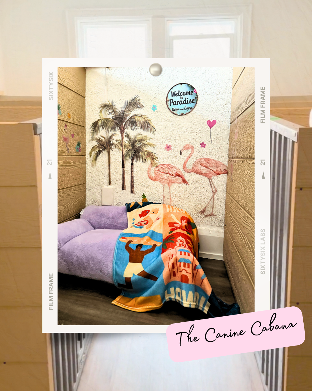 Cozy dog bed with tropical blanket under wall art of palm trees and flamingos in a pet cabana.