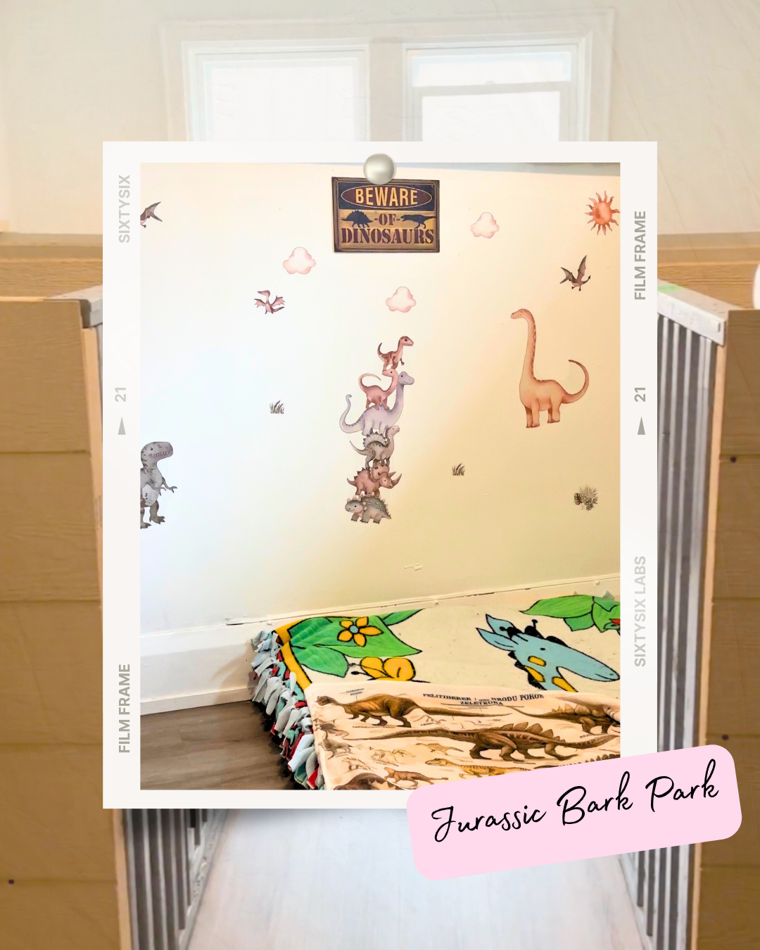 Indoor dog room decorated with dinosaur wall stickers, a 'Beware of Dinosaurs' sign, and dinosaur blankets.