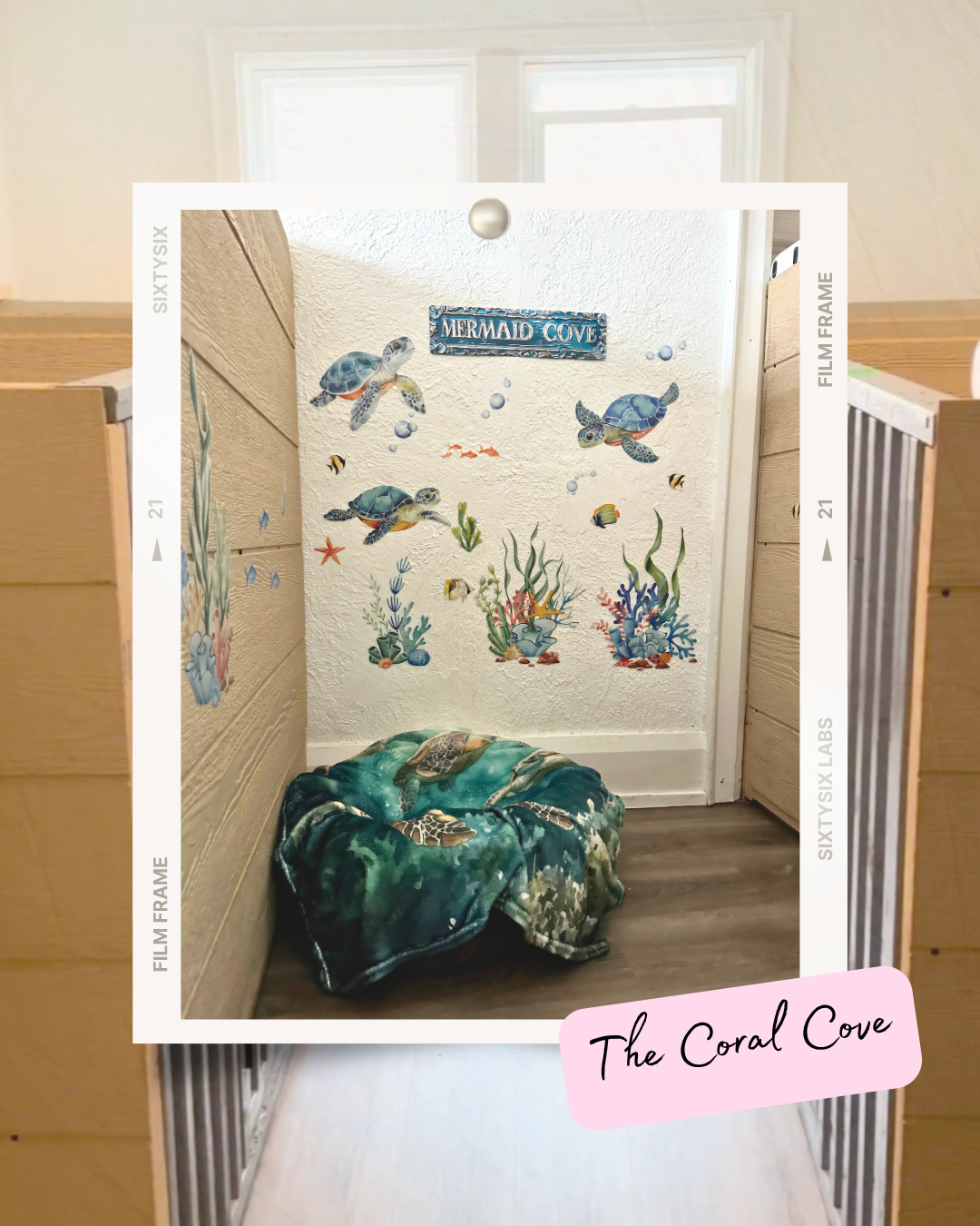 Small cozy corner with sea turtle wall decals, coral reef decorations, and a turtle-patterned blanket on the floor.