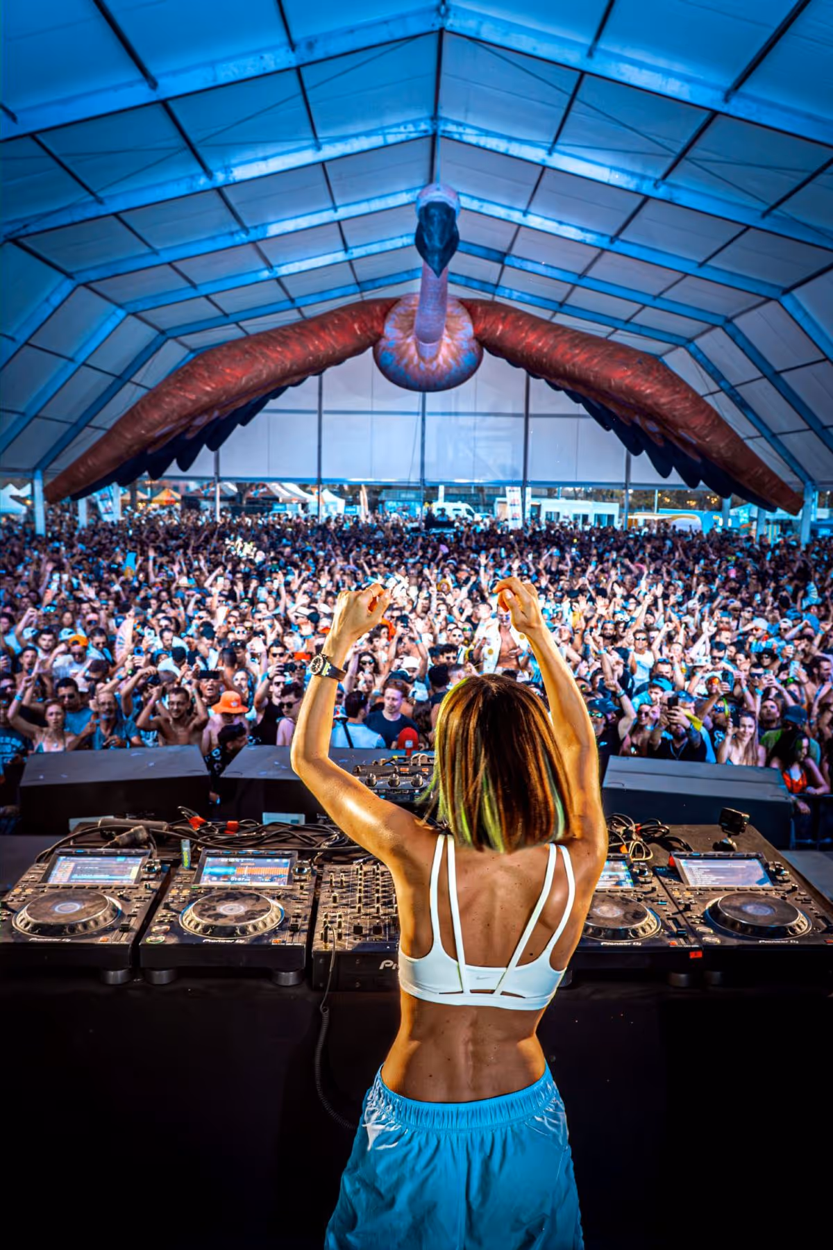 cashless concert