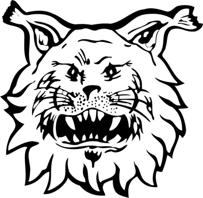Ilves