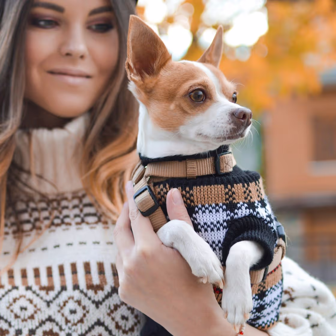A woman in a cozy sweater gently holds a small dog