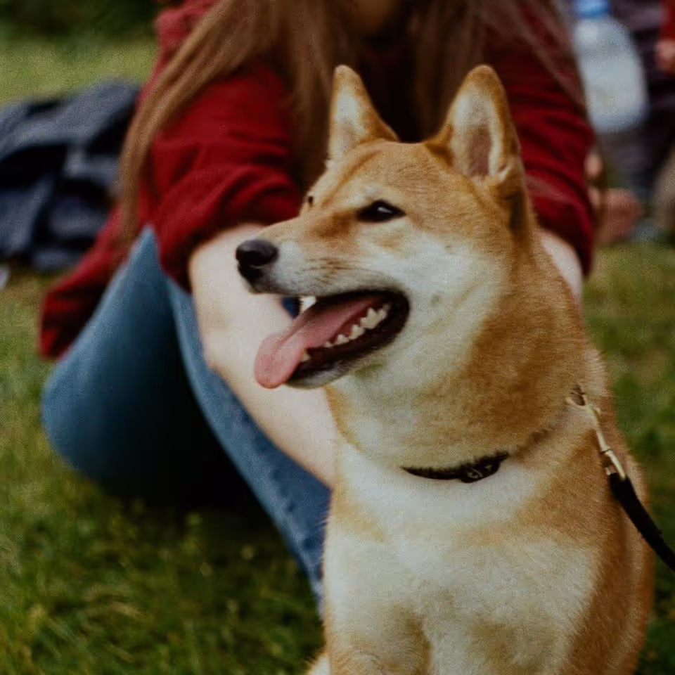 A woman sitting on the grass, smiling, with a dog beside her