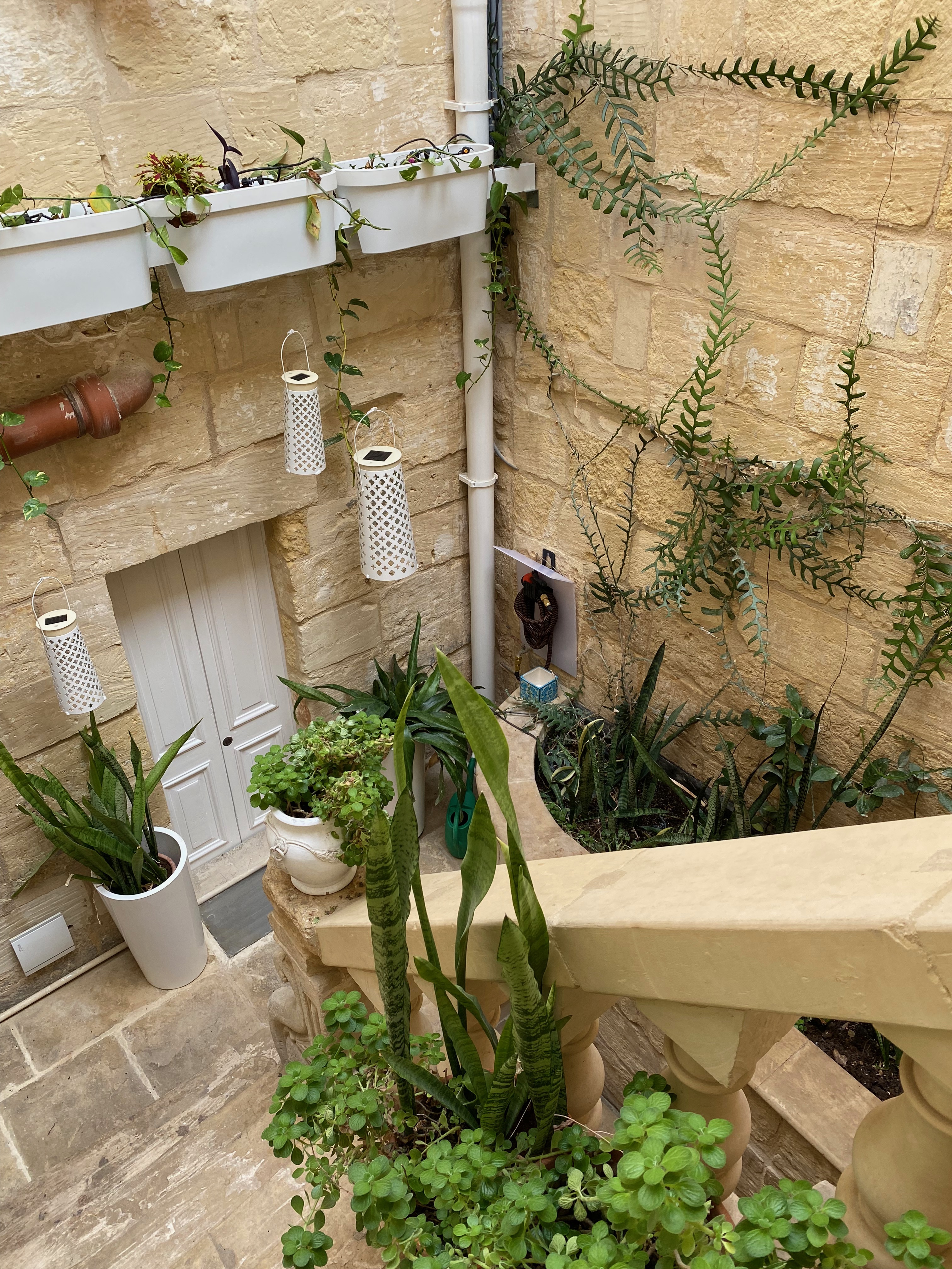 Stairs in courtyard with lots of plants.