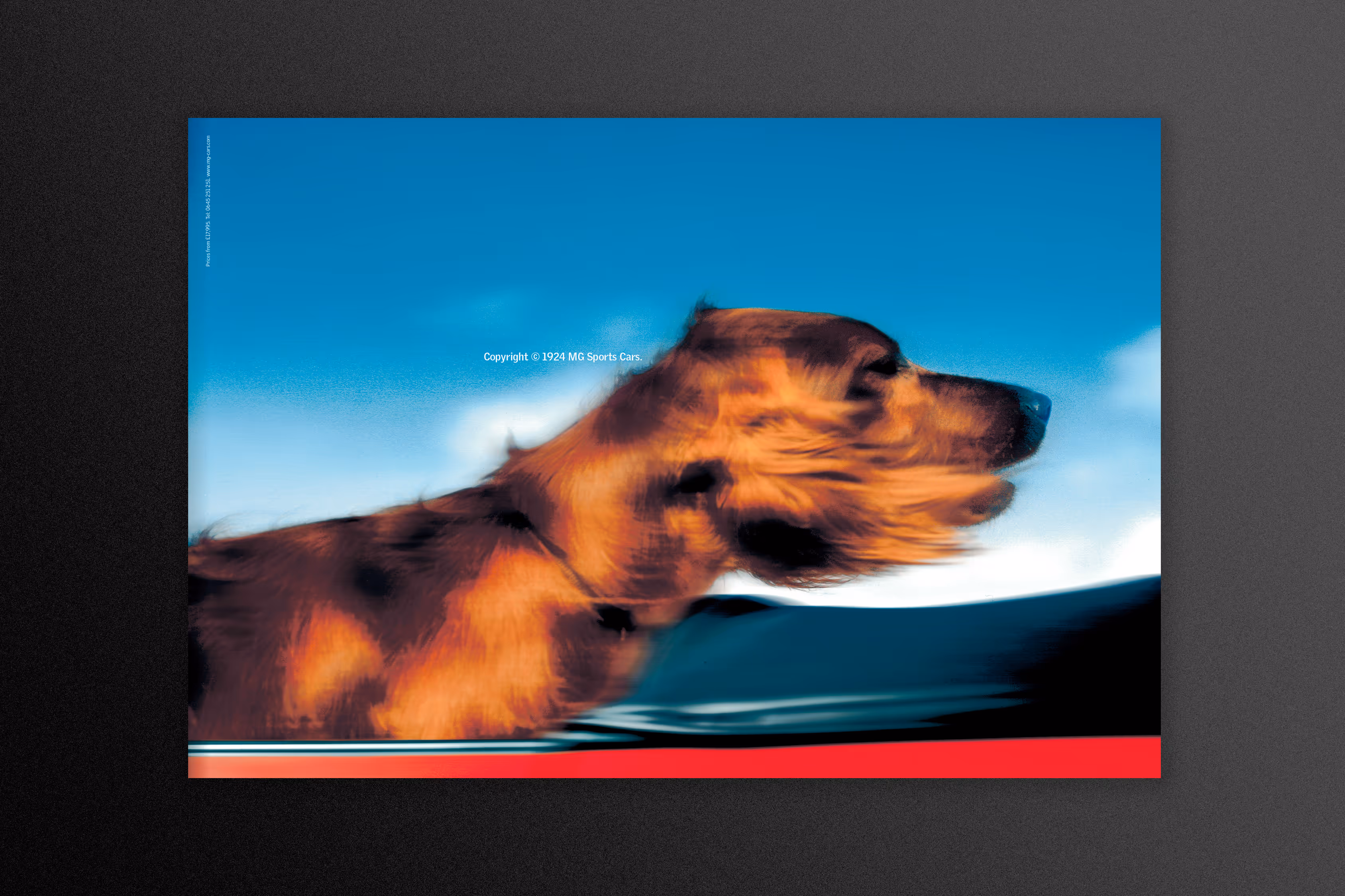 Picture of a red setter in a convertible MGF, its ears flowing.