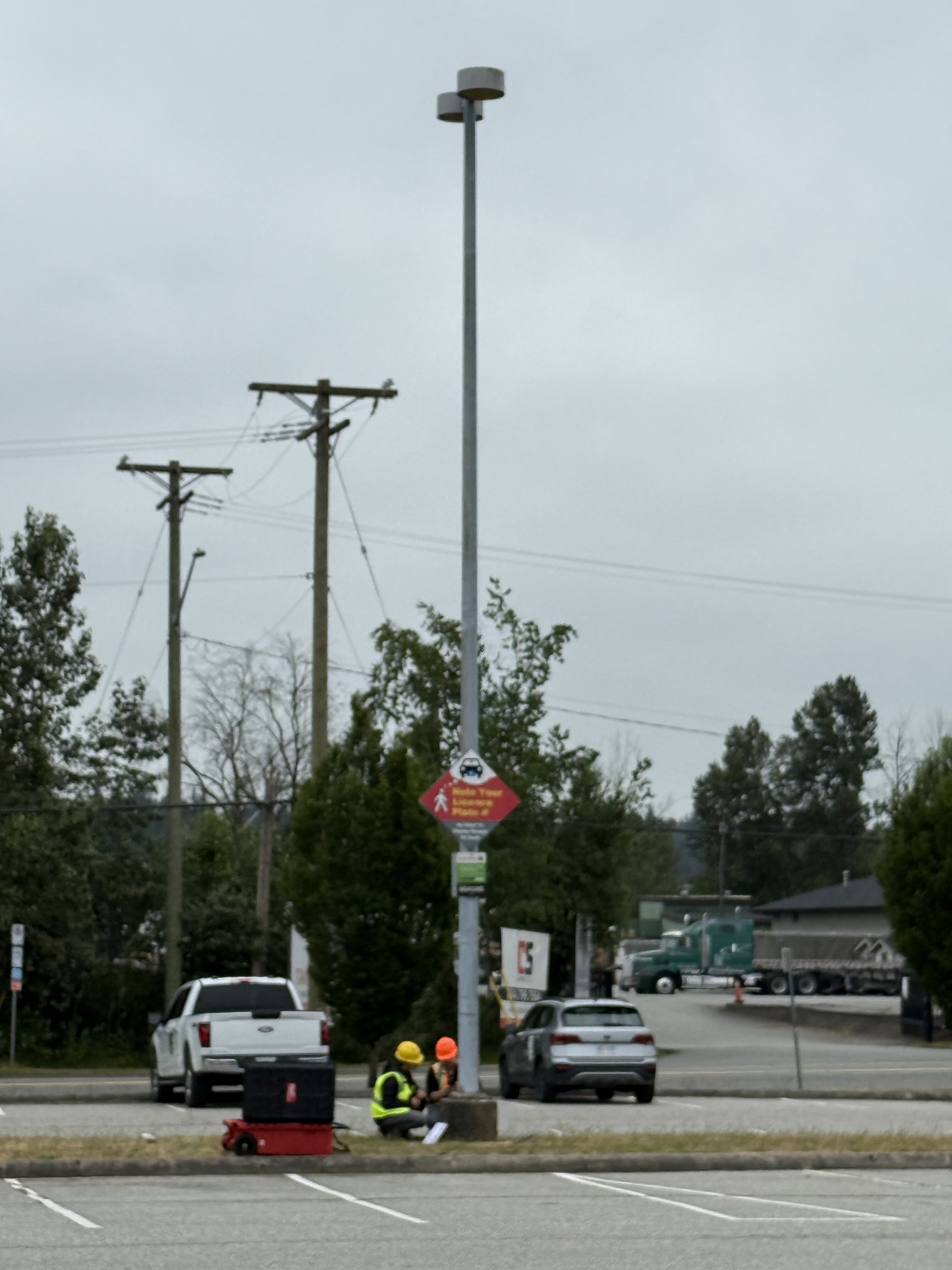 Field overview of pole condition and access.
