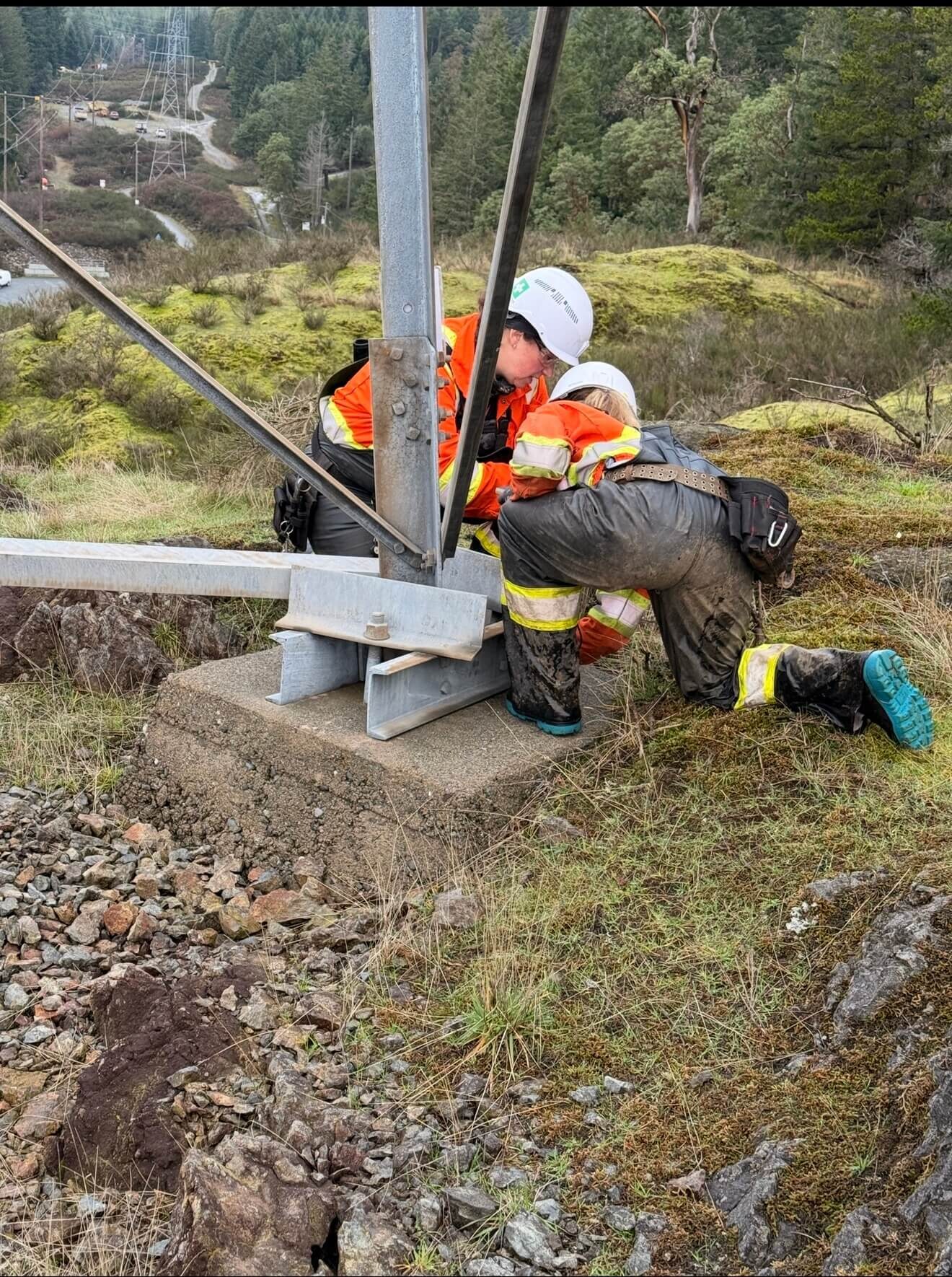 Tower structure review for members, access, and defects.