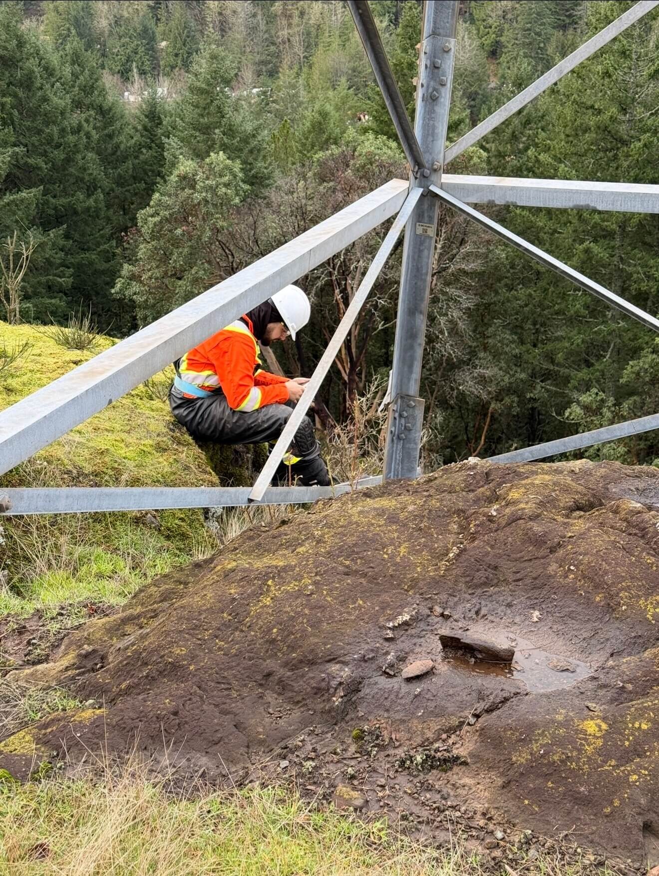 Tower structure review for members, access, and defects.