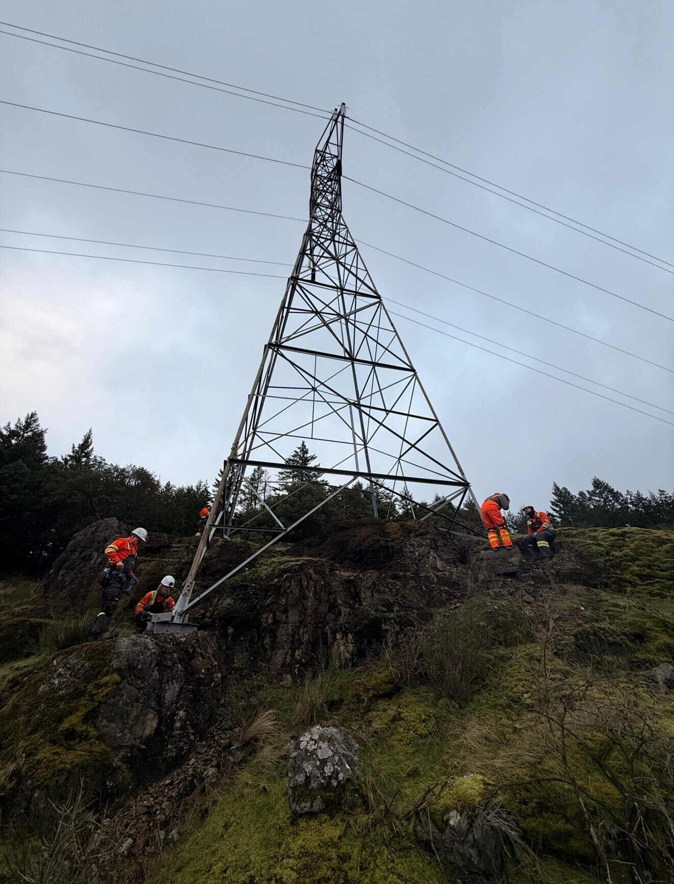 Tower structure review for members, access, and defects.