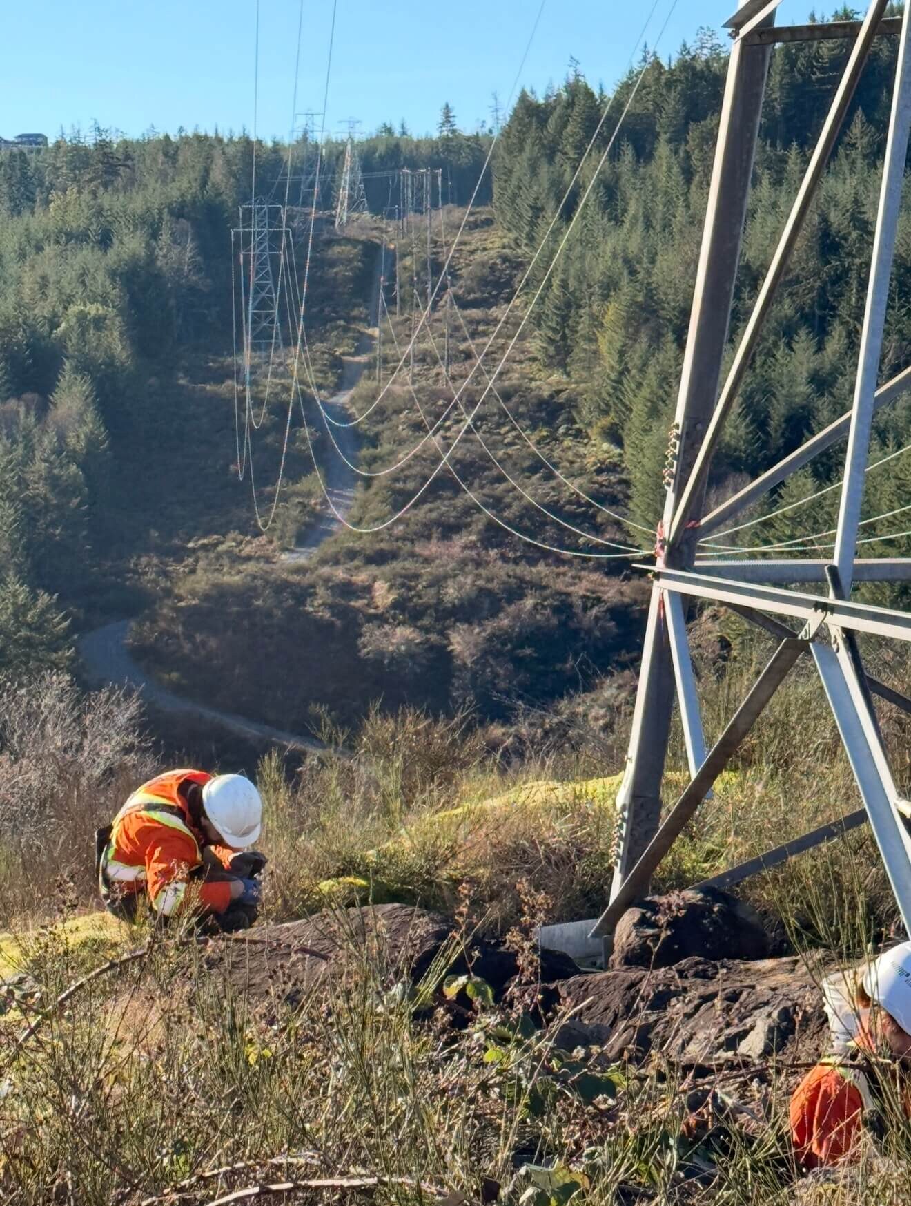 Tower structure review for members, access, and defects.