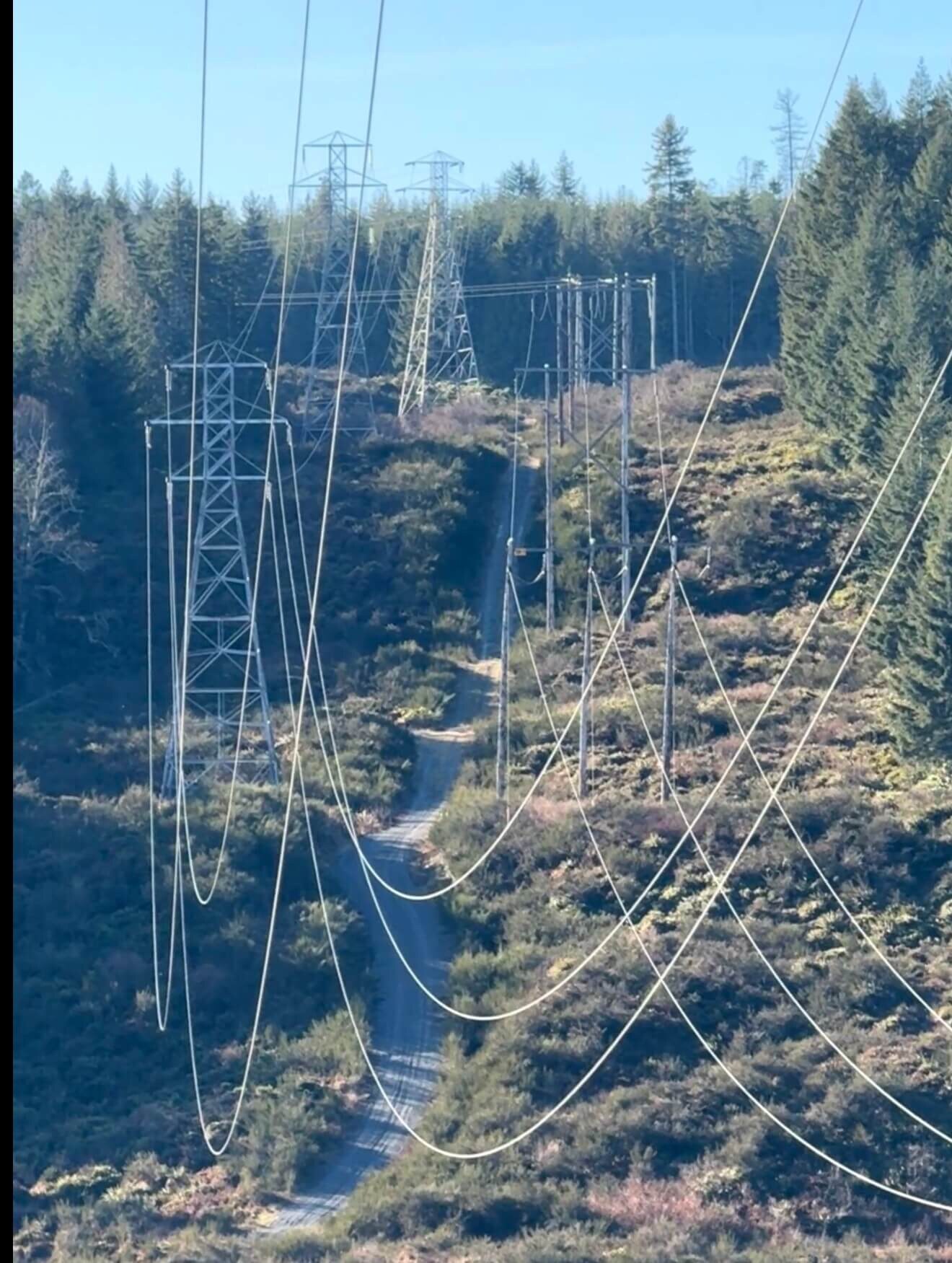 Tower structure review for members, access, and defects.