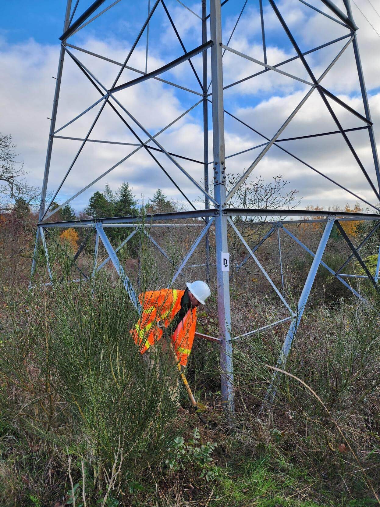 Tower structure review for members, access, and defects.