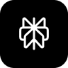 icon perplexity