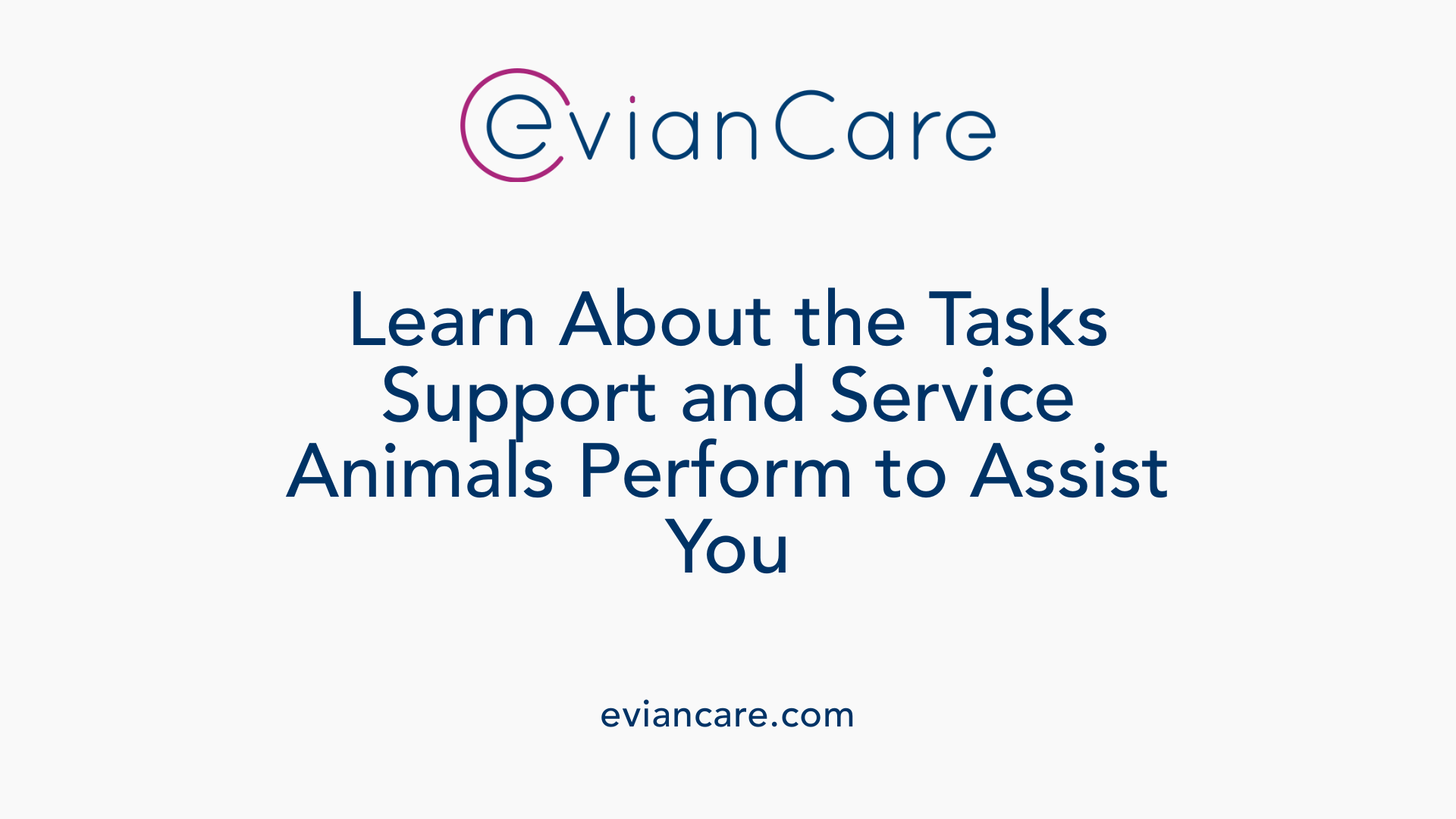 Learn About the Tasks Support and Service Animals Perform to Assist You