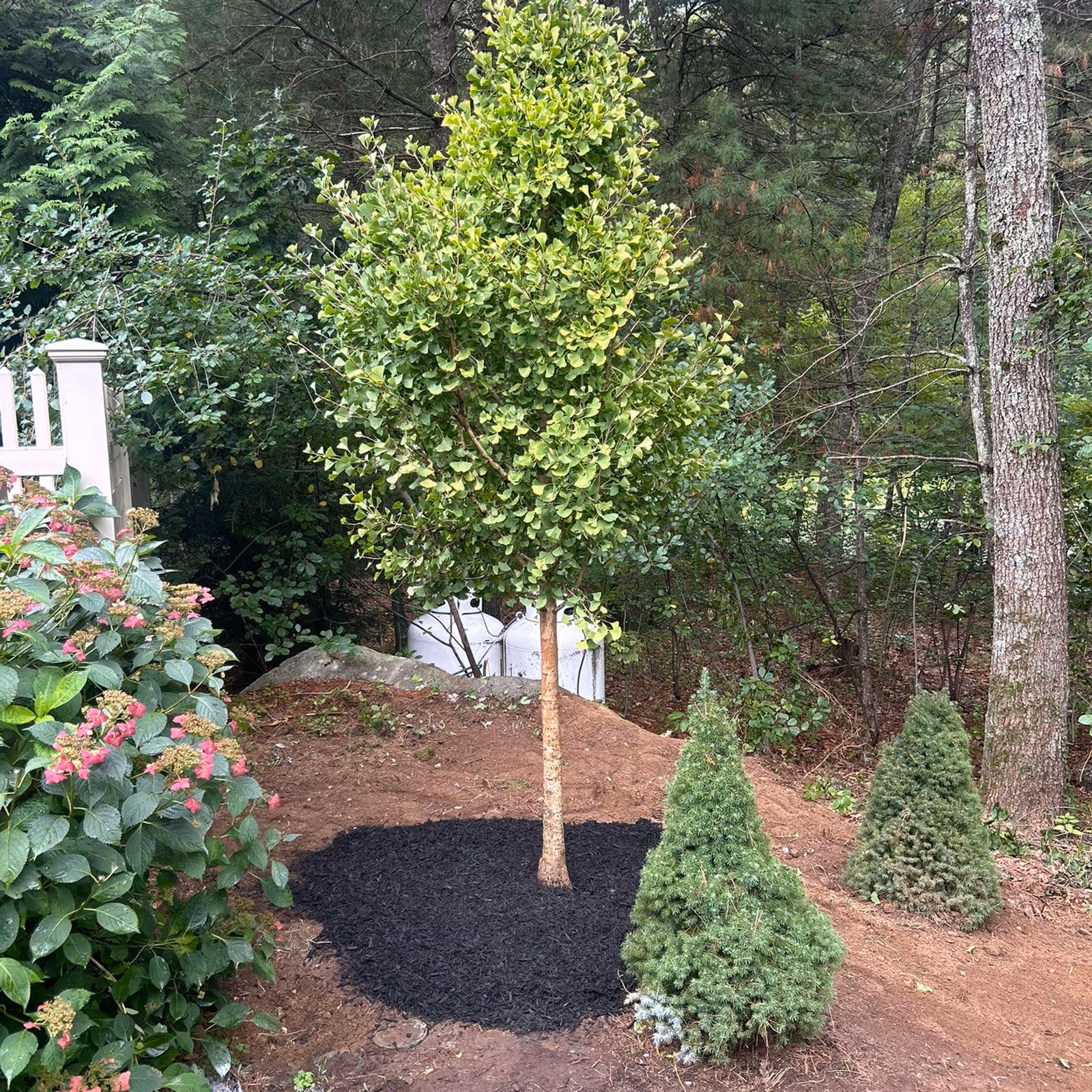 Landscape enhancement project near me – Winter Harbor Snow Management Sudbury MA