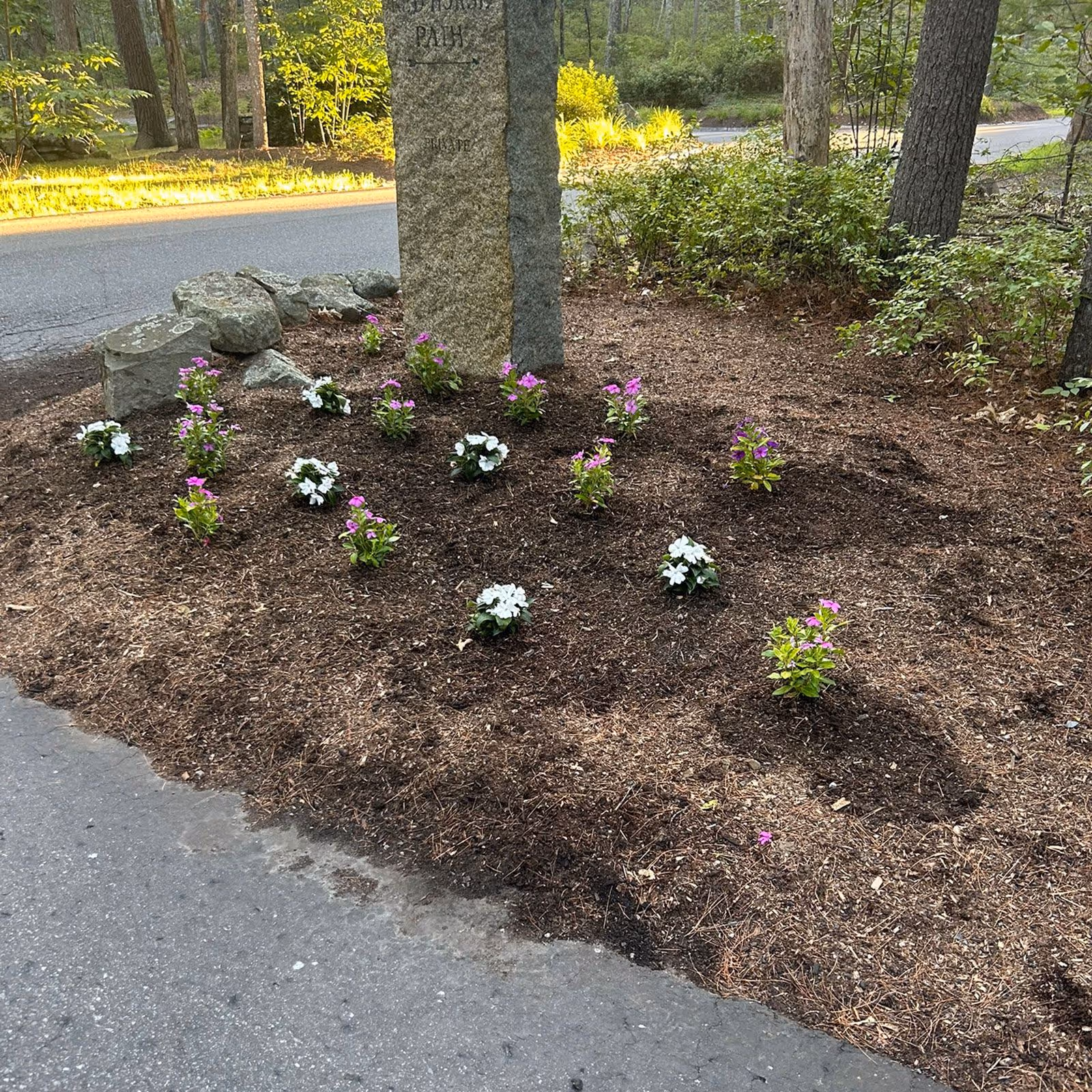 Professional landscaping services by Winter Harbor Snow Management LLC in Sudbury MA"