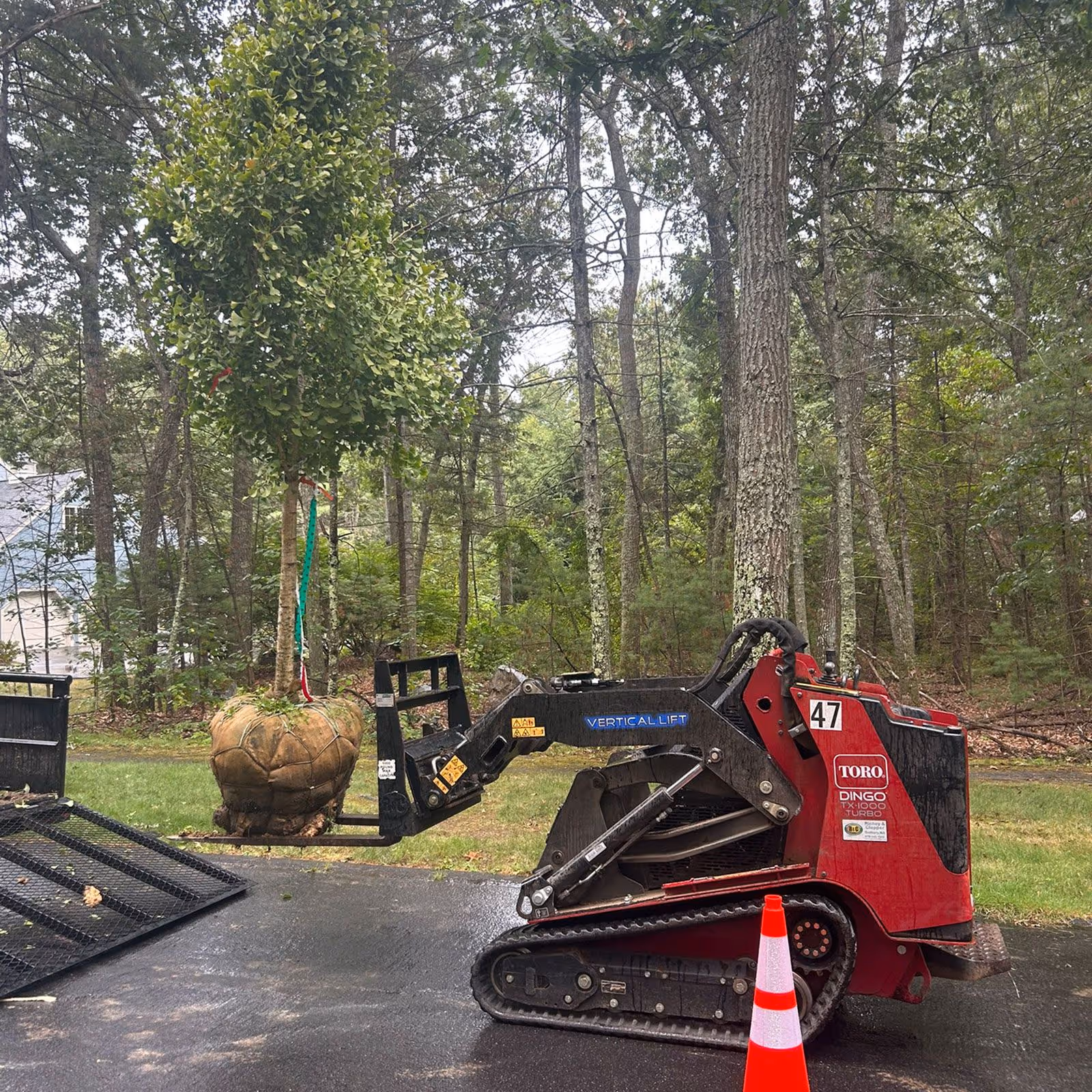 Yard clean up near me – Winter Harbor Snow Management LLC restoring lawns Sudbury MA