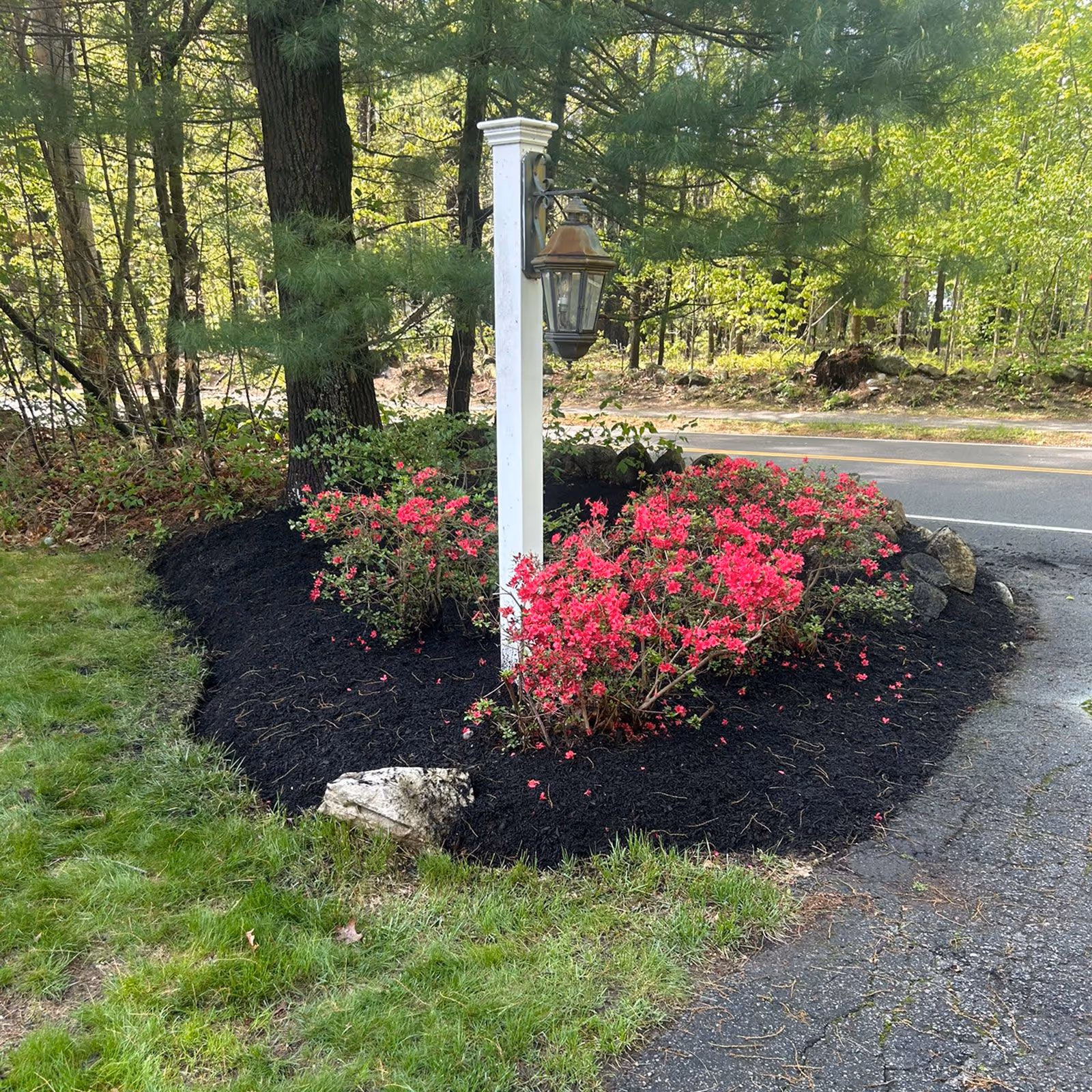 Seasonal flower planting by Winter Harbor Snow Management LLC Sudbury MA