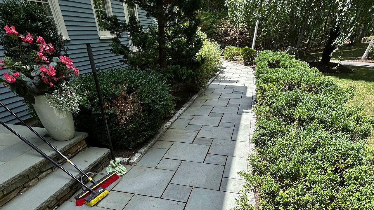 Neatly laid walkway with shrubbery and flowers for a neat landscape design near me