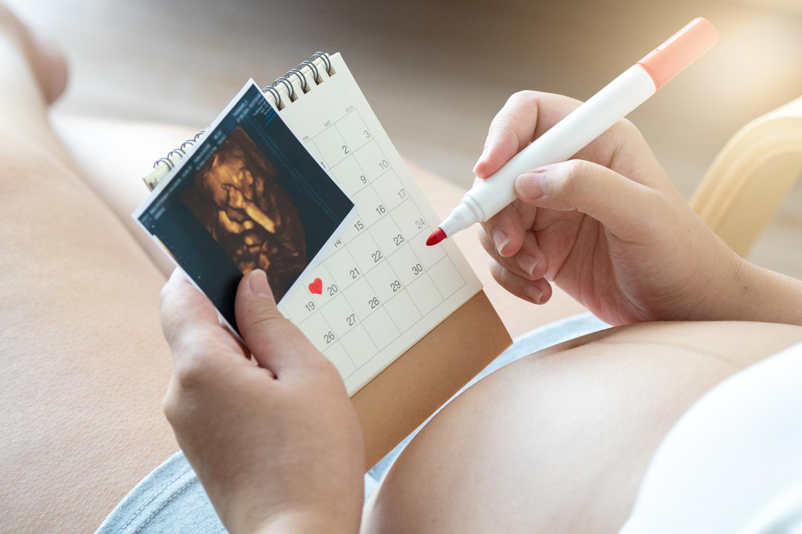 echography of a baby and calendar