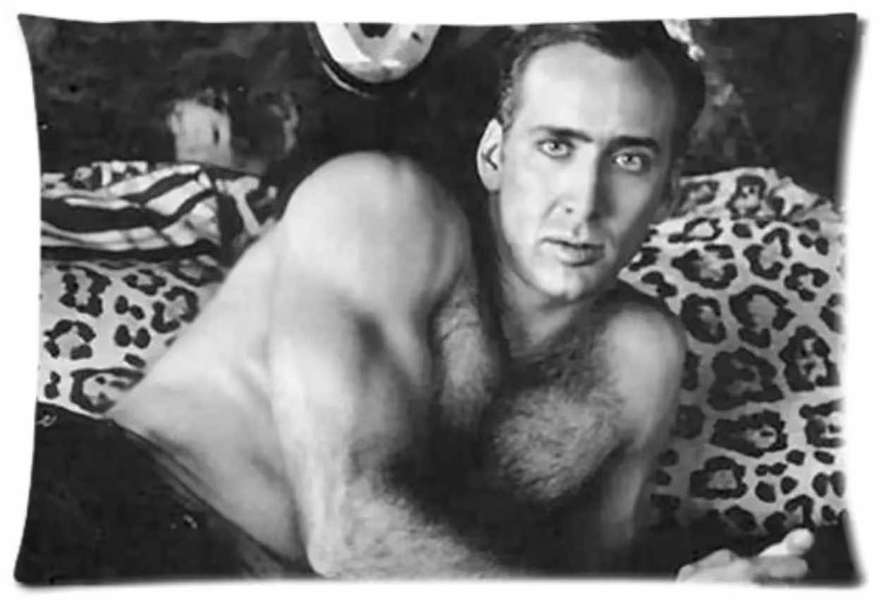 Nicholas Cage Pillow Case