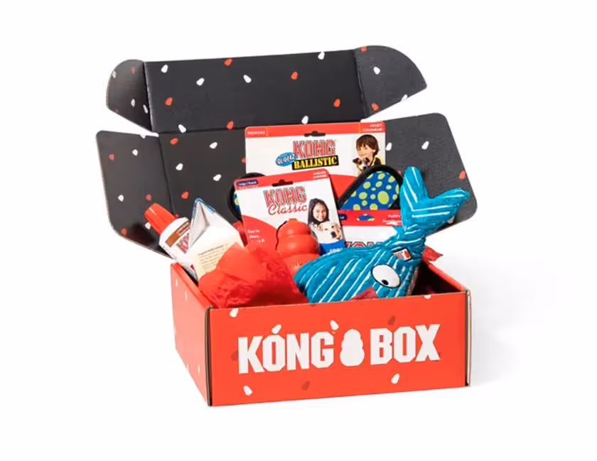 kong box amazon