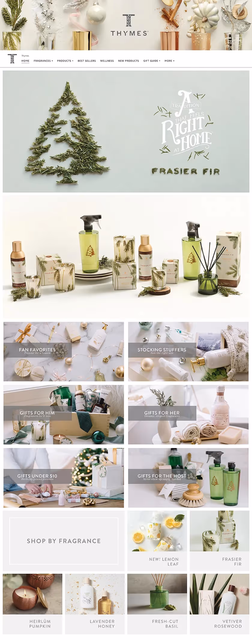 BlogBody A Content Thymes