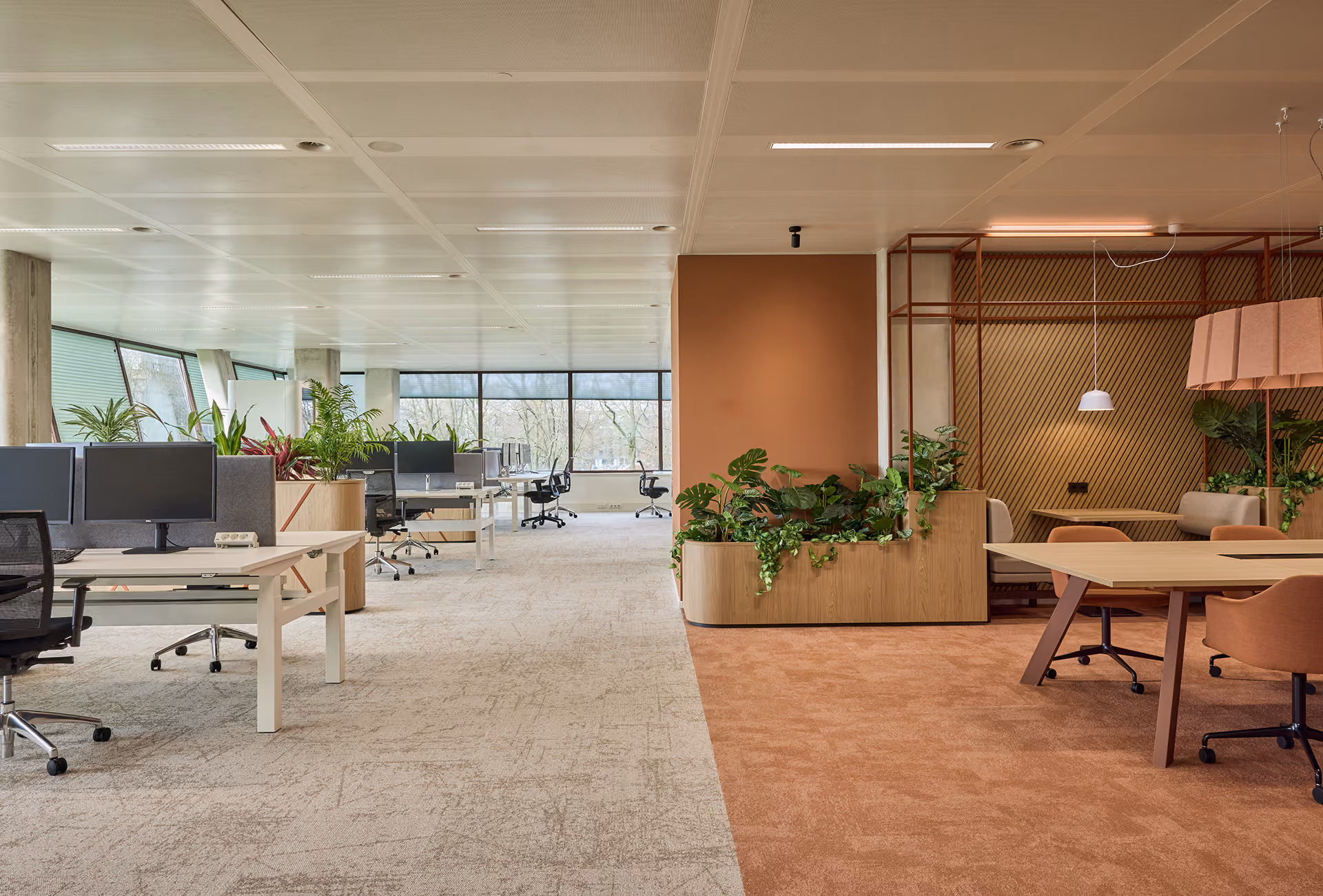 Moderne kantoorruimte met twee verschillende tapijten en planten; links staan witte bureaus met computers en zwarte bureaustoelen, rechts een zithoek