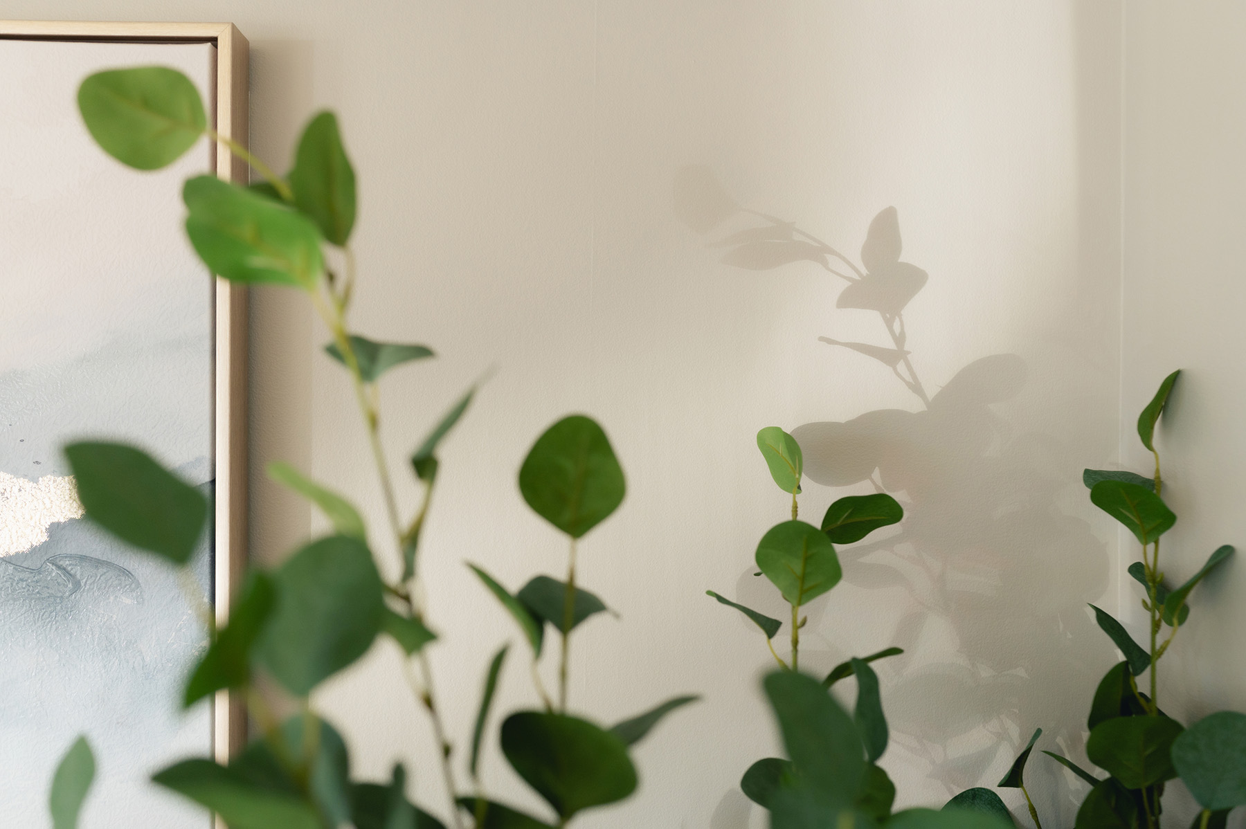 Photo of decorative plant leaves in the front office 