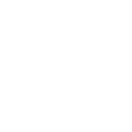 Vector Image