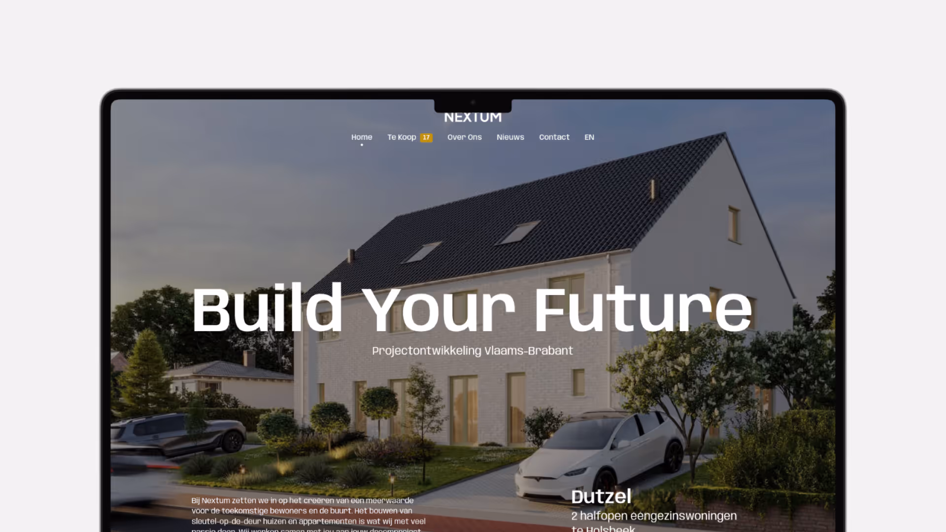 Professional website development