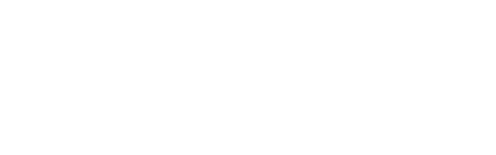 Indigo Group