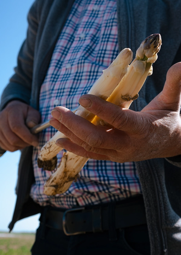 Les animaux de compagnie sont les bienvenus chez Beauvallon Collection.