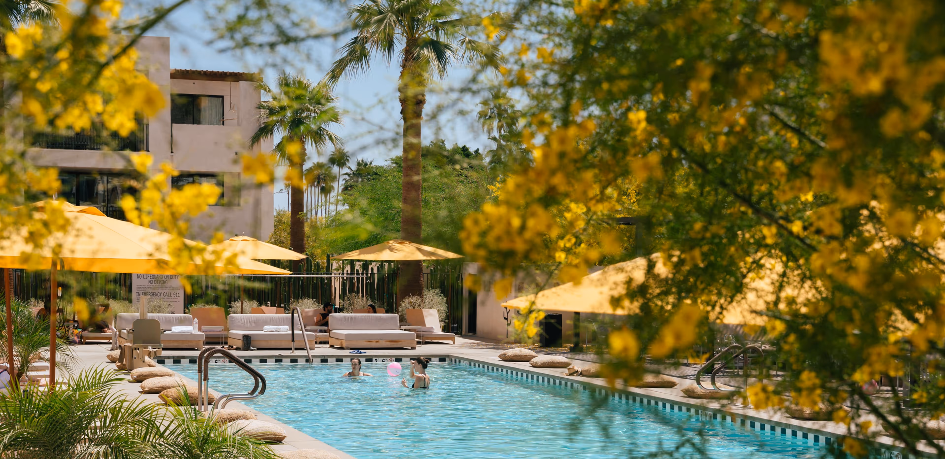 View of a resort pool framed by vibrant yellow blossoms, showing swimmers playing with a beach ball, yellow umbrellas, and lounge chairs in the sun.