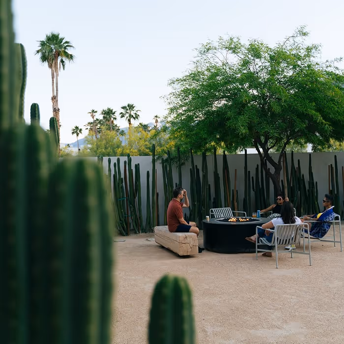 Four people relax around a modern outdoor fire pit in a desert-style courtyard, surrounded by tall cacti, palm trees, and a large leafy tree under a clear sky.