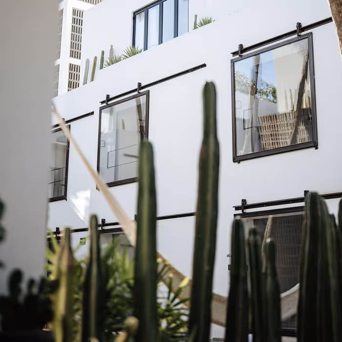 Modern white hotel facade with large square windows and dark trim, framed by tall cactus plants; a hammock stretches between posts in the courtyard.