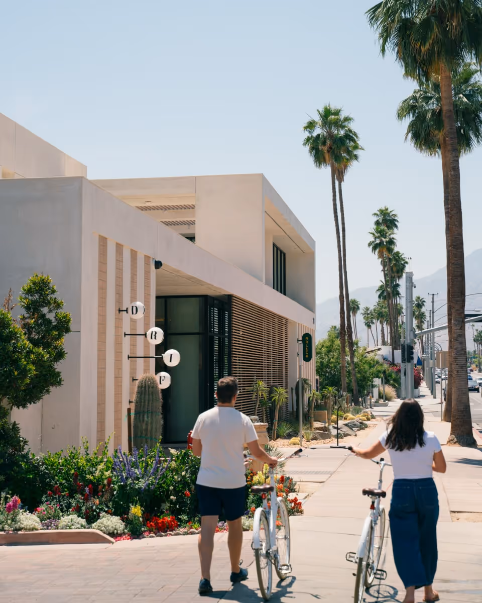 Couple walking bicycles along a sunny Palm Springs street lined with palm trees, modern architecture, and desert landscaping near Drip café.