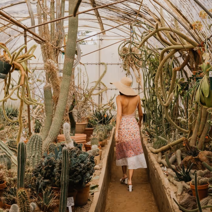 Moorten Botanical Garden Cactarium greenhouse with woman in sun hat among tall cacti.