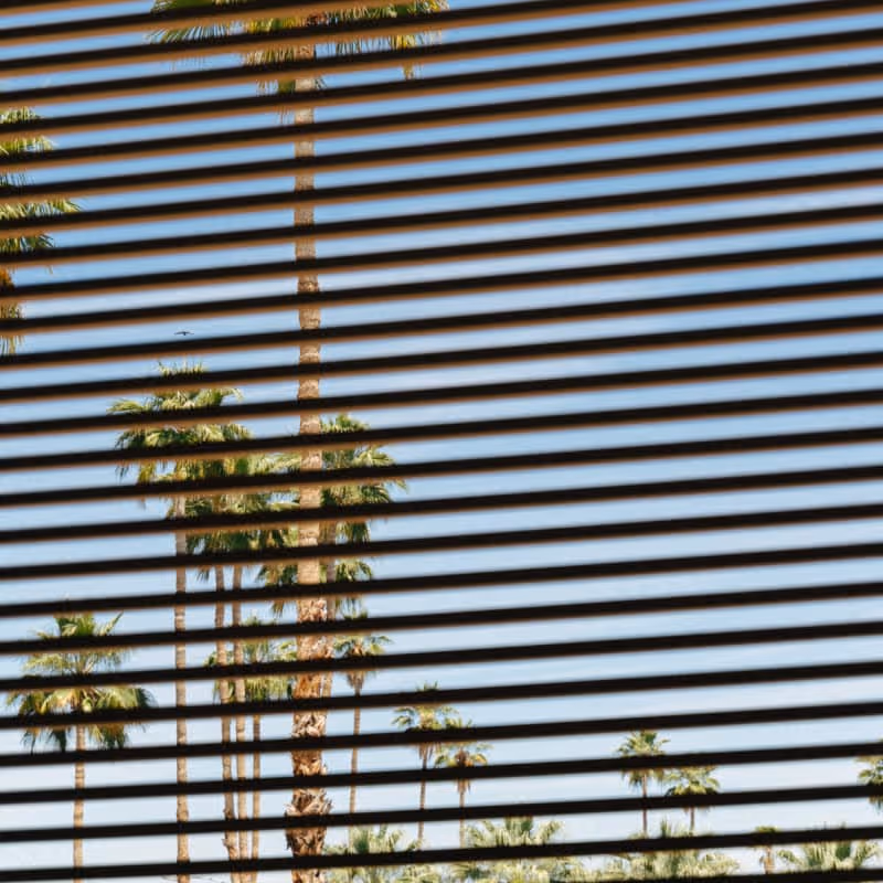 View of tall palm trees through window blinds against clear desert sky