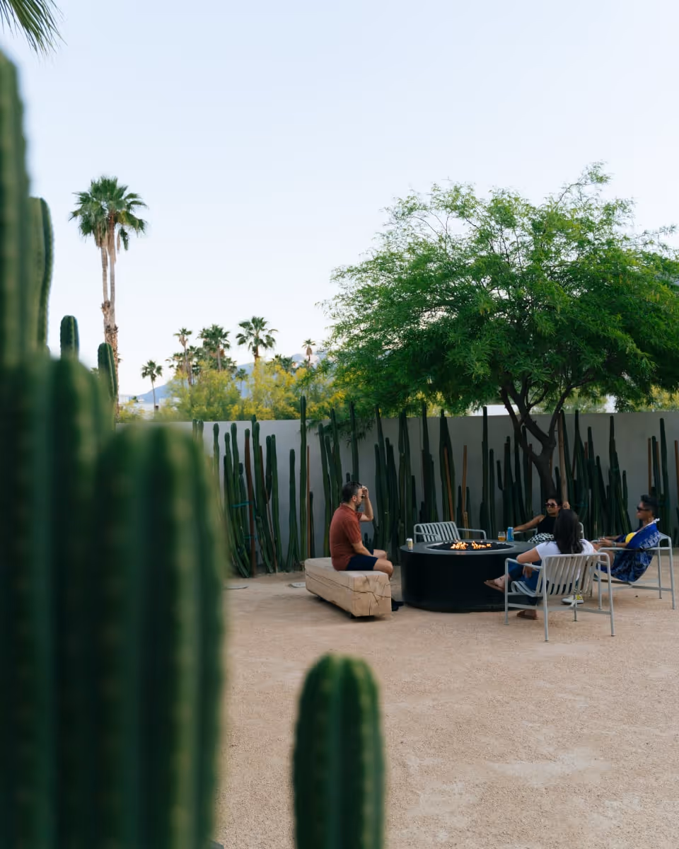 Friends relaxing around a modern fire pit in a desert courtyard with tall cacti and palm trees in Palm Springs